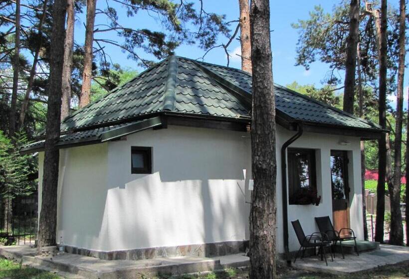 스탠다드 트리플 룸 가든 전망, Complex Parc Pini Moinesti