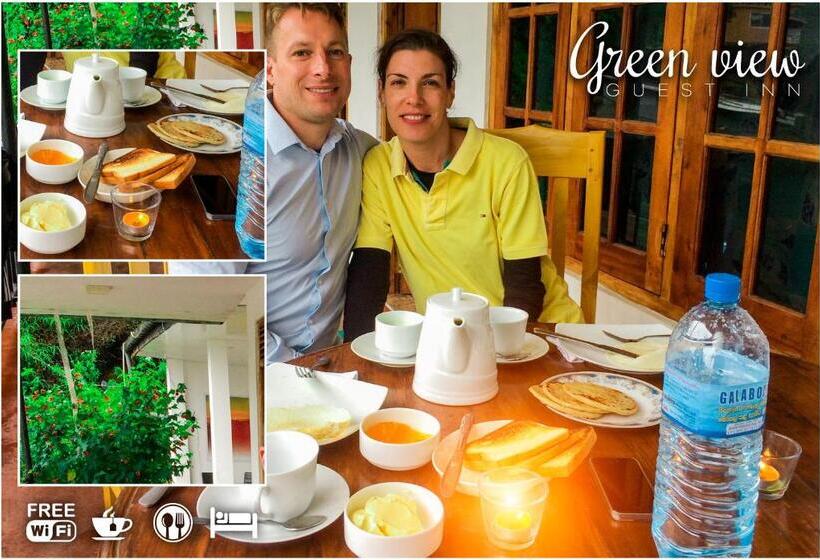 带大床的标准间, Green View Guest Inn