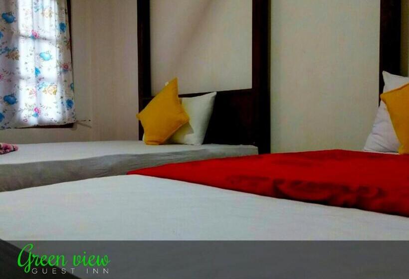标准间, Green View Guest Inn