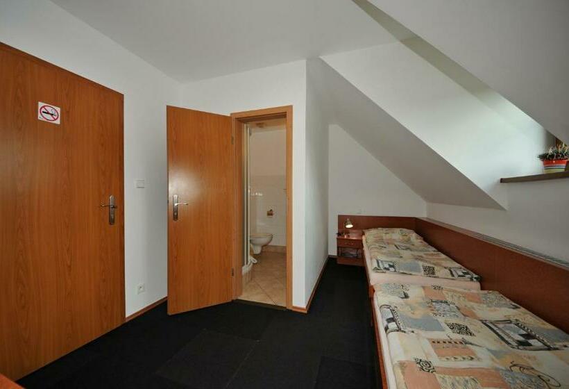 غرفة قياسية, Penzion Praktik Krumlov