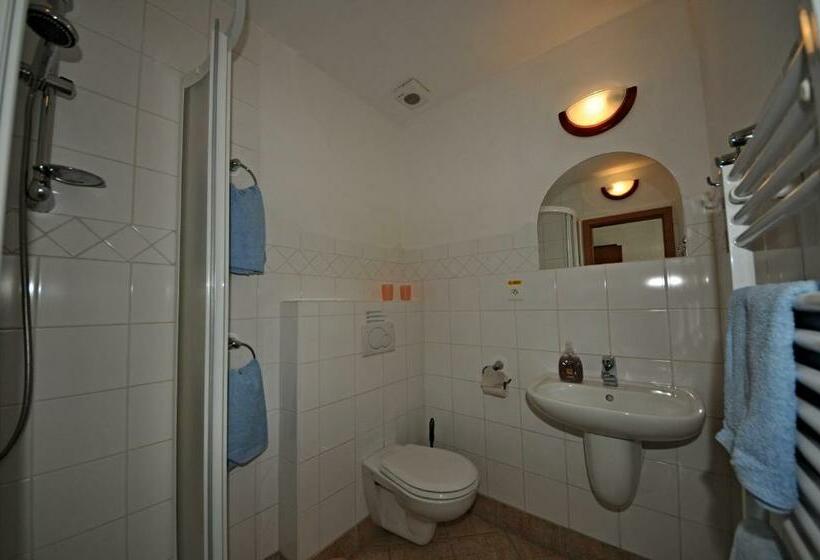 غرفة قياسية, Penzion Praktik Krumlov