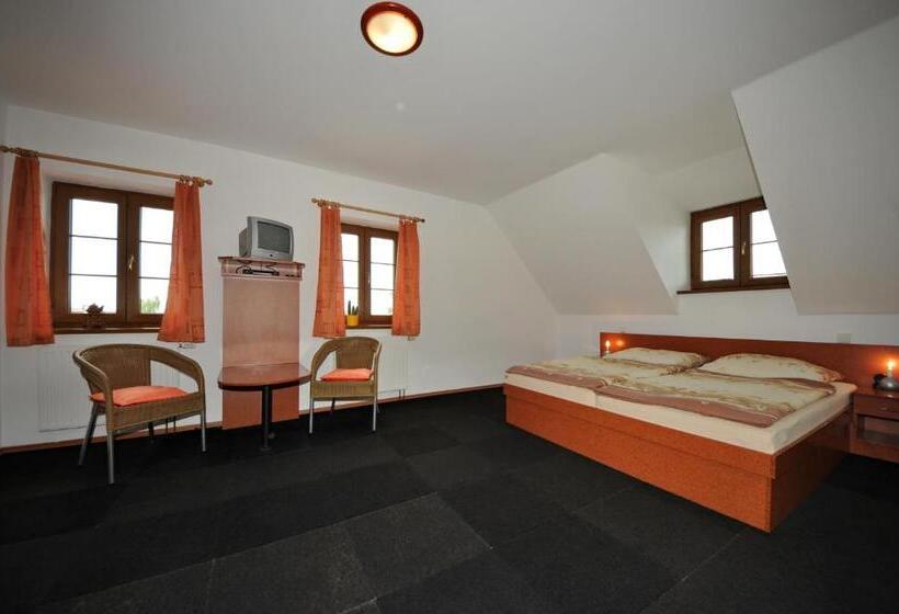 غرفة قياسية, Penzion Praktik Krumlov
