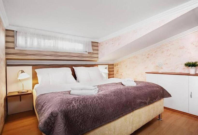 带2个卧室的公寓, Wellness Hotel Bahenec