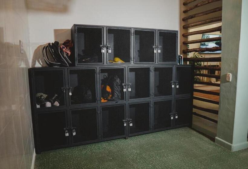 Кровать в Общей Комнате, Traveler Hostel