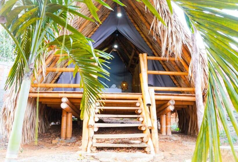 Шале 1 Спальня, Traveler Hostel