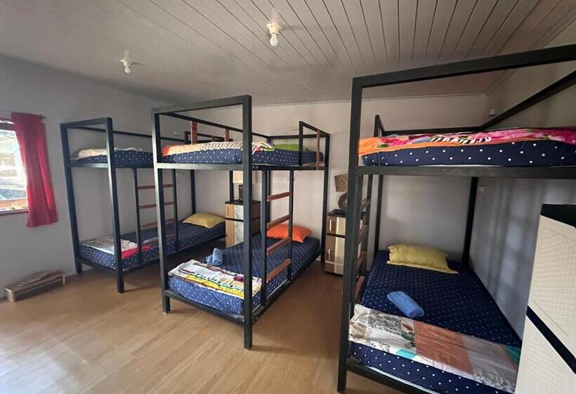 Кровать в Общей Комнате, Atlante Hostel