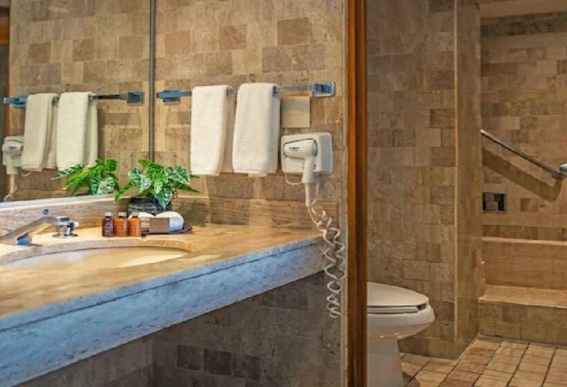 غرفة إقتصادية, Park Royal Beach Acapulco  All Inclusive