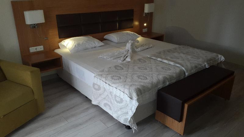 Номер Стандарт, Begonville