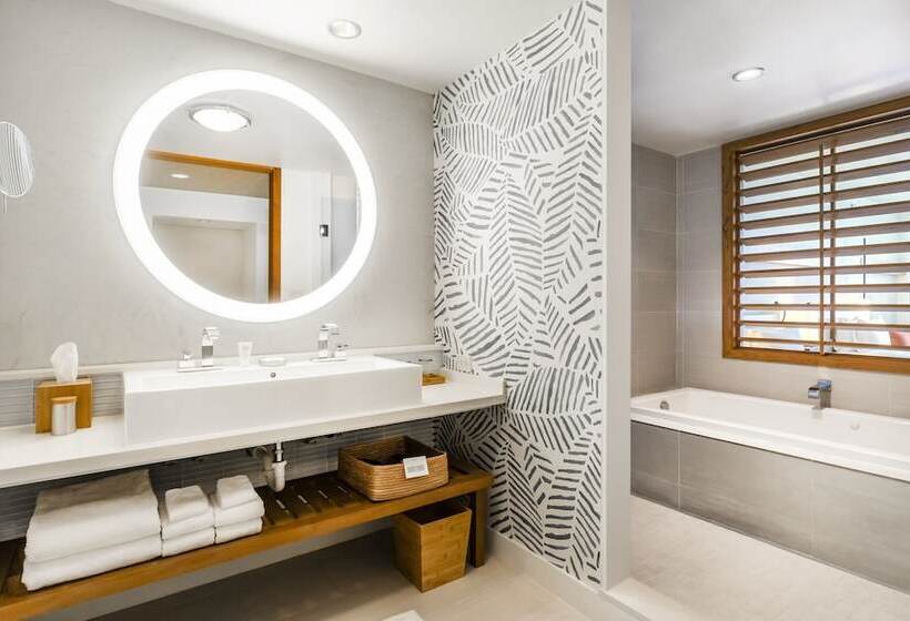 小型套房带海景, Eden Roc Miami Beach