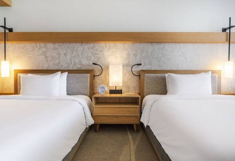سوئیت پریمیوم, Eden Roc Miami Beach