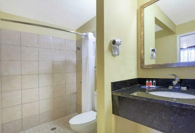 اتاق استاندارد با تخت بزرگ برای معلولان, Grand Hotel Orlando At Universal Blvd   Shuttle To Theme Parks