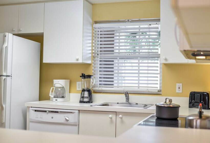 Apartamento 1 Dormitório, Hilton Vacation Club Aqua Sol Orlando West