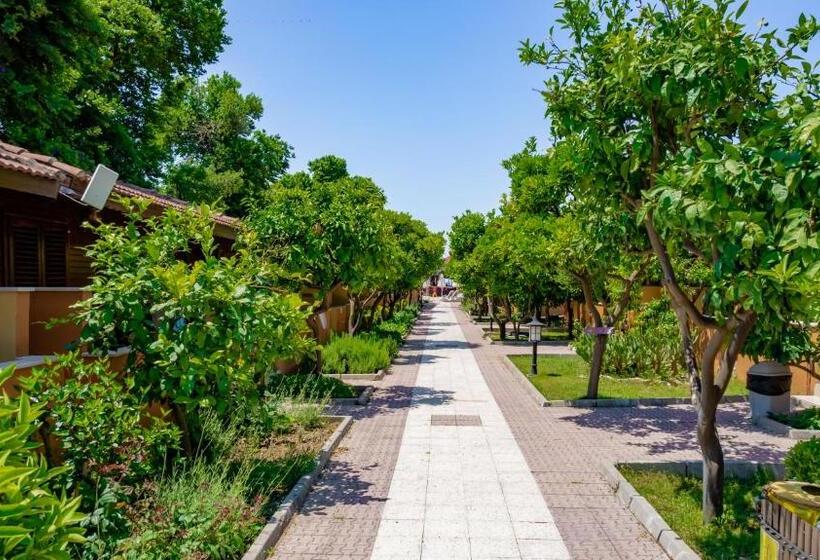 بنجلو قياسى, Ozlem Garden