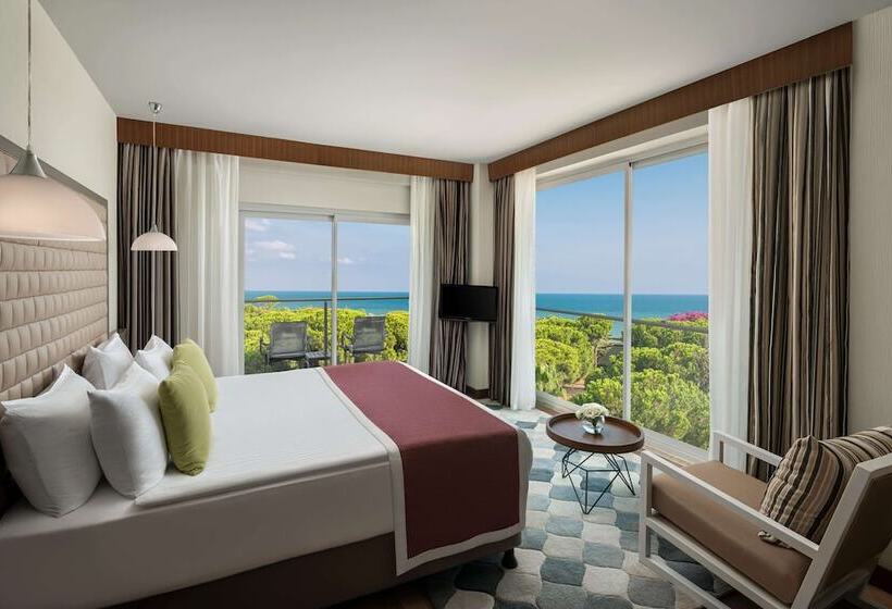 行政房间, Papillon Ayscha Resort & Spa