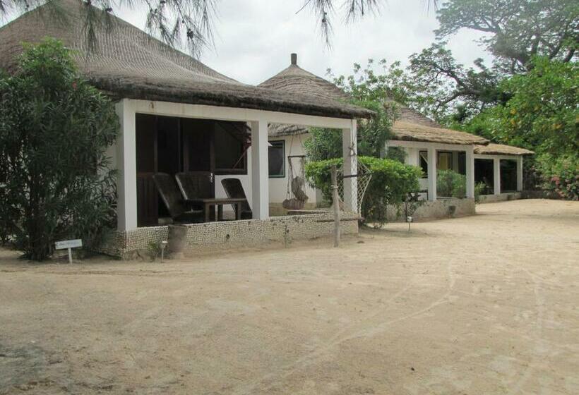 اتاق استاندارد چهار تخته با چشم‌انداز دریا, Bazouk Du Saloum Ecolodge