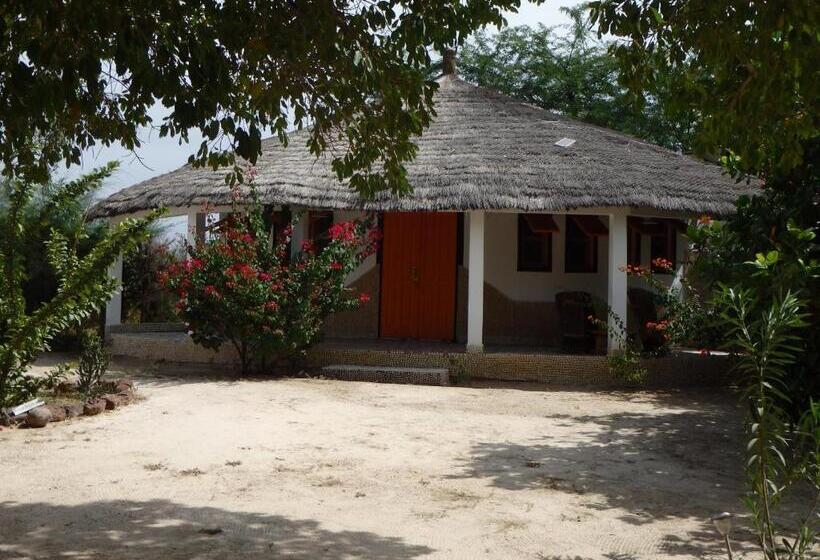 اتاق خانوادگی با چشم‌انداز باغ, Bazouk Du Saloum Ecolodge