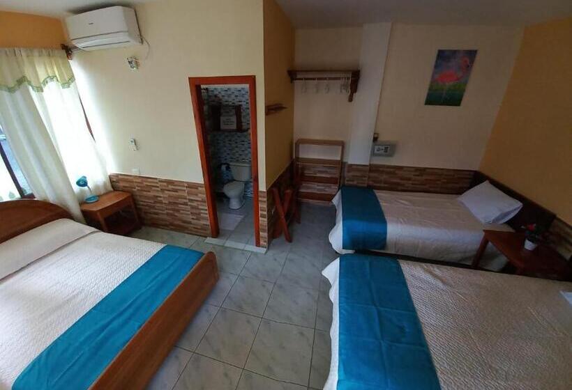 Номер Стандарт Трехместный, Hostal Janet Starlink