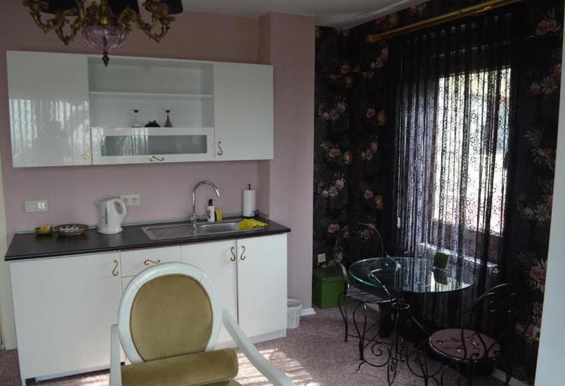 اتاق سوپریور, Parla Viens Suites
