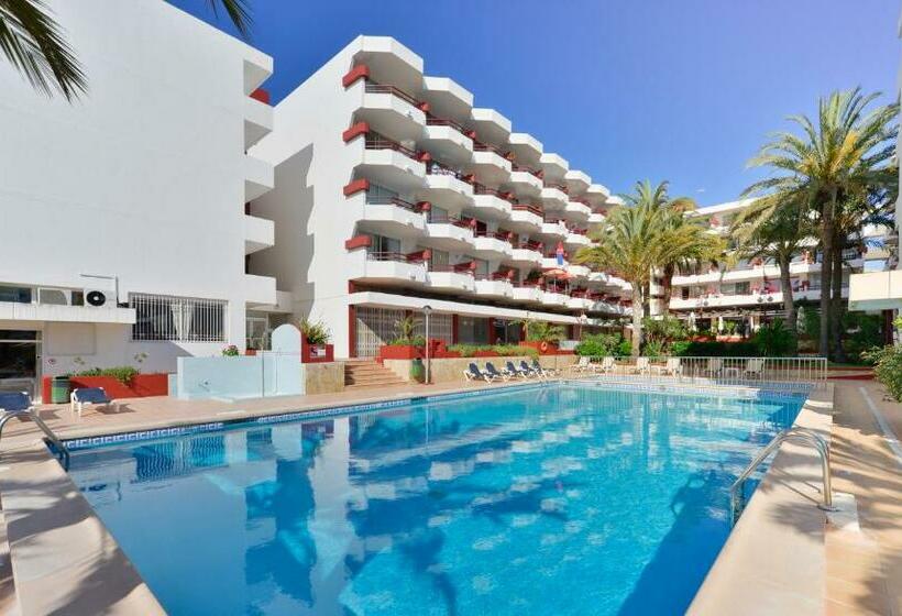１ベッドルームアパートメント, Apartamentos Lido