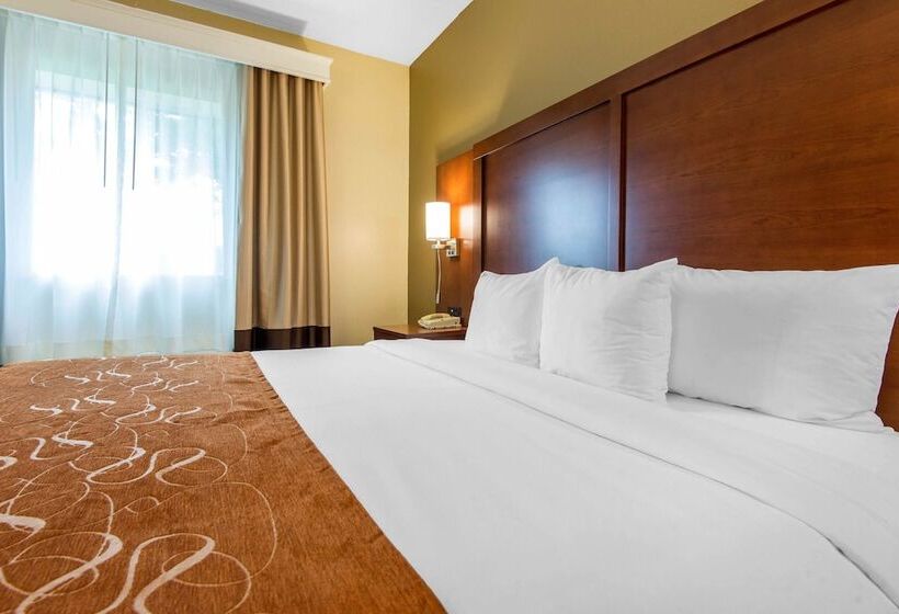 Люкс, Comfort Suites Rochester Henrietta University Area