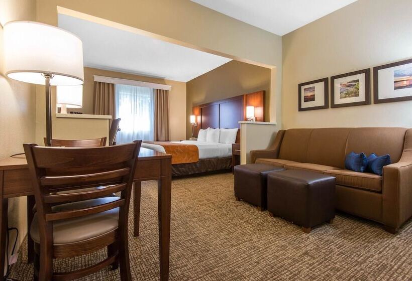 Люкс Адаптированный для Инвалидов, Comfort Suites Rochester Henrietta University Area