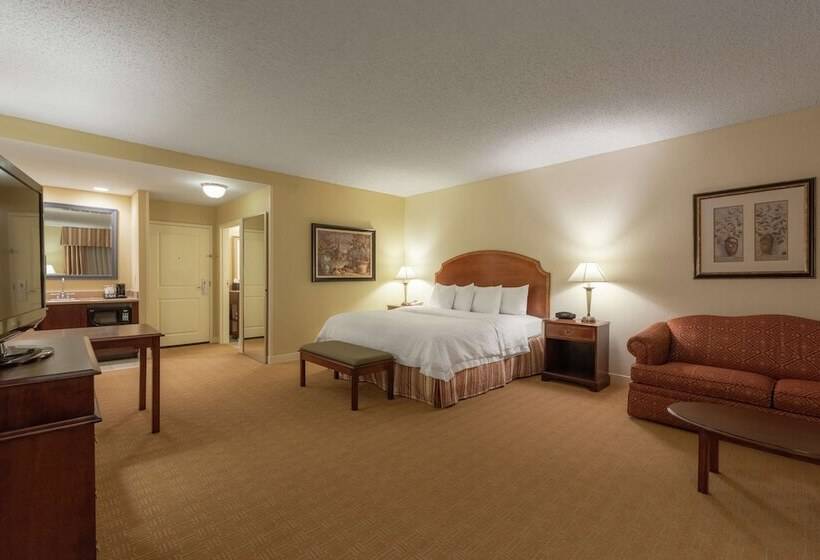 استودیو اجرایی, Hampton Inn & Suites Vicksburg