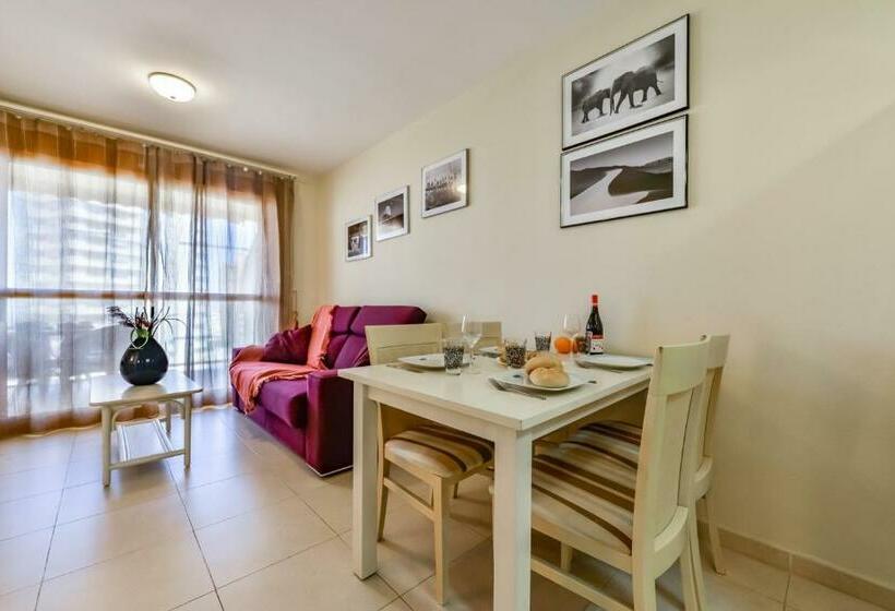 침실 1개 바다 전망 아파트, Apartamentos Ambar Beach