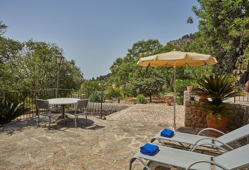 Superior Room with Terrace, Agroturismo Alqueria Blanca