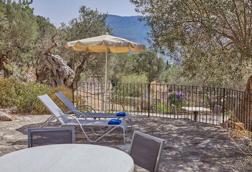 Superior Room with Terrace, Agroturismo Alqueria Blanca