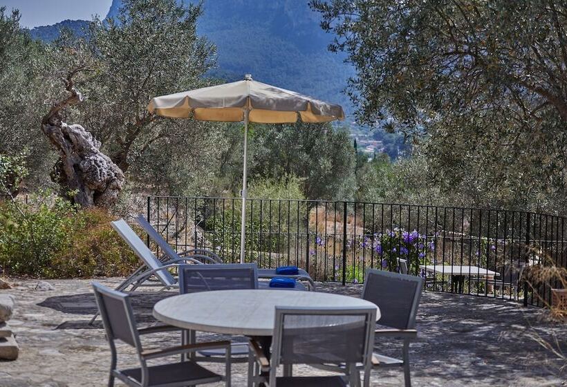 Superior Room with Terrace, Agroturismo Alqueria Blanca