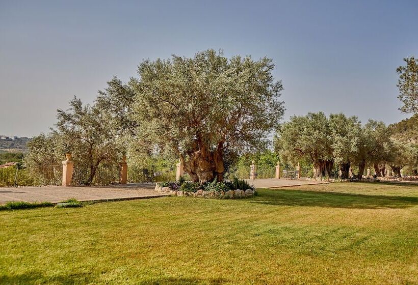 اتاق سوپریور, Agroturismo Alqueria Blanca