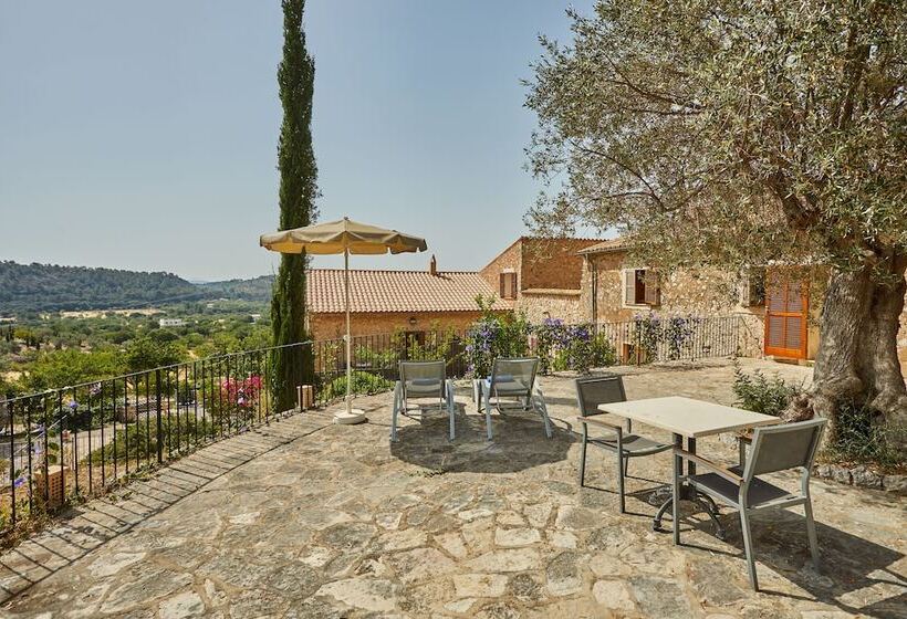 Superior Room with Terrace, Agroturismo Alqueria Blanca