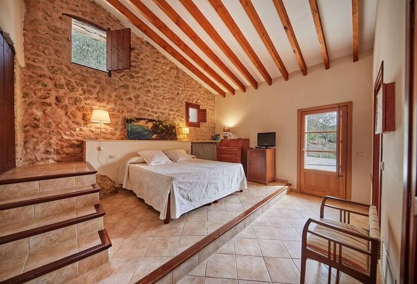 Superior Room with Terrace, Agroturismo Alqueria Blanca