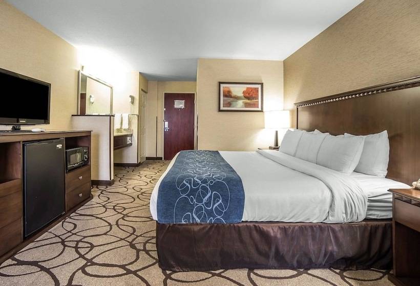 Люкс, Comfort Suites Airport