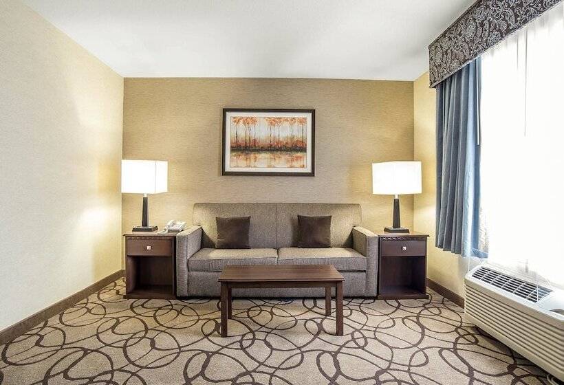 Люкс, Comfort Suites Airport