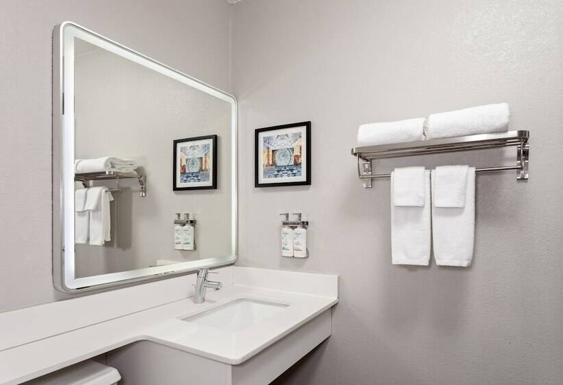 标准间, Holiday Inn Chicago/oak Brook, An Ihg