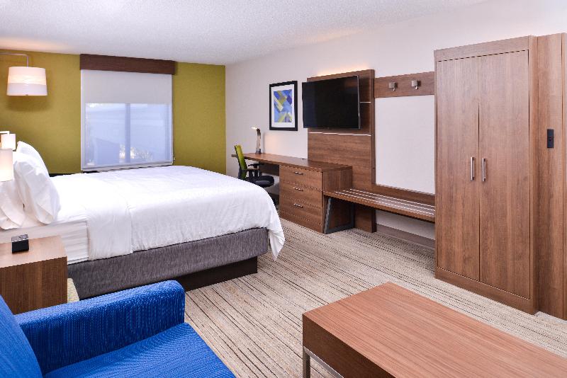 带大床的套房, Holiday Inn Express Hotel & Suites Tampa Anderson Road Veterans Exp, An Ihg