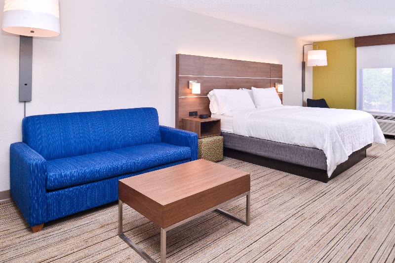 带大床的套房, Holiday Inn Express Hotel & Suites Tampa Anderson Road Veterans Exp, An Ihg