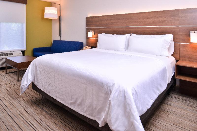 带大床的标准间, Holiday Inn Express Hotel & Suites Tampa Anderson Road Veterans Exp, An Ihg