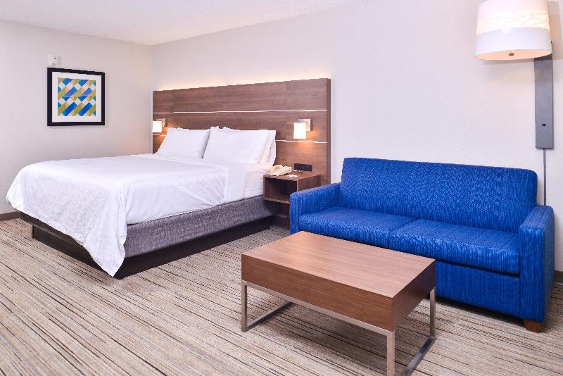 商务房间, Holiday Inn Express Hotel & Suites Tampa Anderson Road Veterans Exp, An Ihg