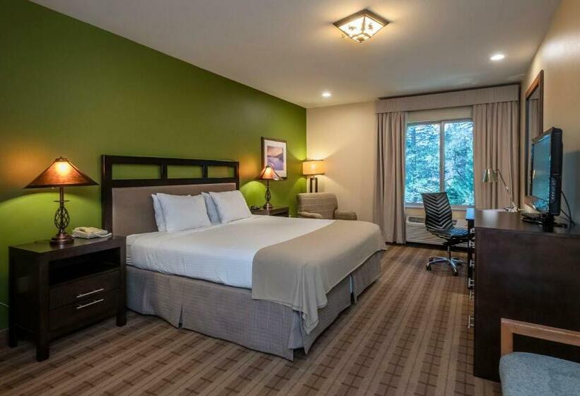 스탠다드 룸 킹사이즈 침대, Truckee Donner Lodge