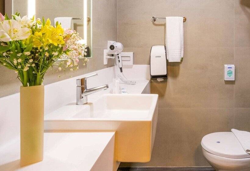 Апартаменты Executive 1 Спальня, Mercure Florianópolis