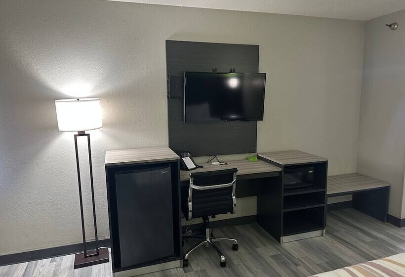 اتاق استاندارد با 2 تخت دوبل, La Quinta Inn By Wyndham Omaha Southwest