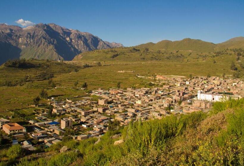 Номер Стандарт Индивидуальный, Kuntur Wassi Colca
