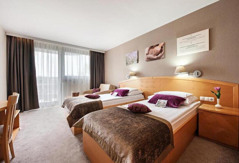 اتاق استاندارد, Ajda   Terme 3000   Sava Hotels & Resorts
