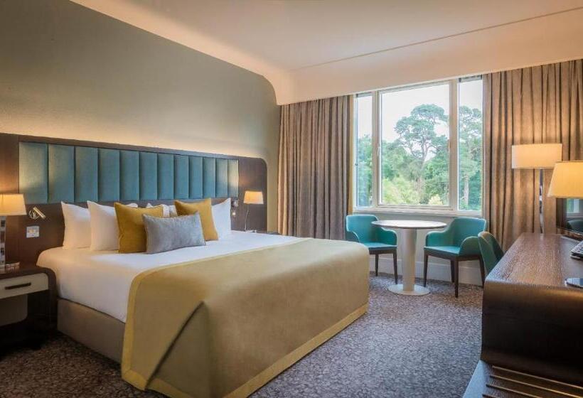 اتاق کلاسیک با تخت دونفره, Fota Island Hotel And Spa