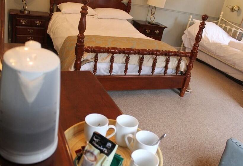 Люкс, The Swan Motel, Gillingham