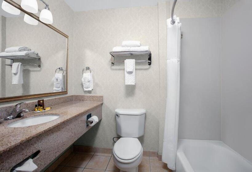 Люкс Кровать Кинг, Best Western Plus Miami Doral/dolphin Mall
