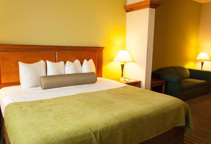 Люкс Кровать Кинг, Best Western Plus Miami Doral/dolphin Mall