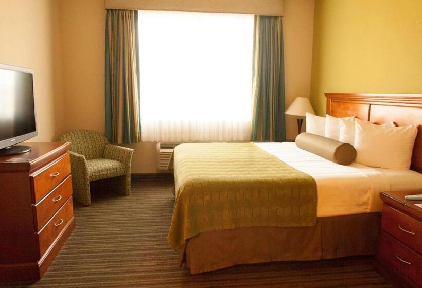Номер Стандарт Кровать Кинг Адаптированный для Инвалидов, Best Western Plus Miami Doral/dolphin Mall